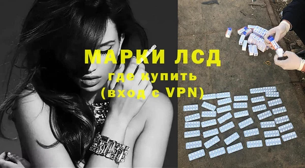 амф Чекалин