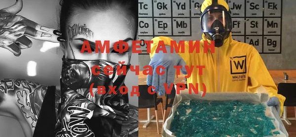 стафф Ельня