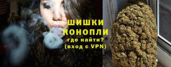 стафф Ельня