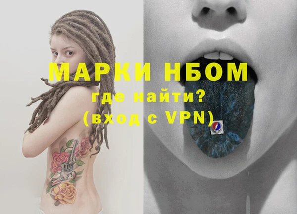 амф Чекалин