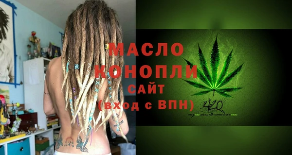 стафф Ельня