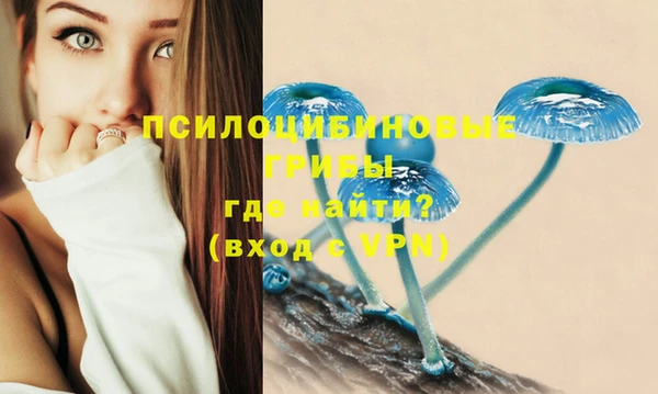 a pvp Заводоуковск