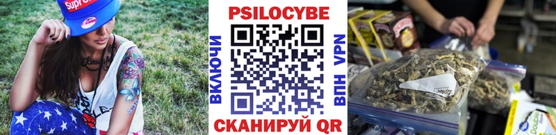 Псилоцибиновые грибы Psilocybine cubensis  Новомосковск 