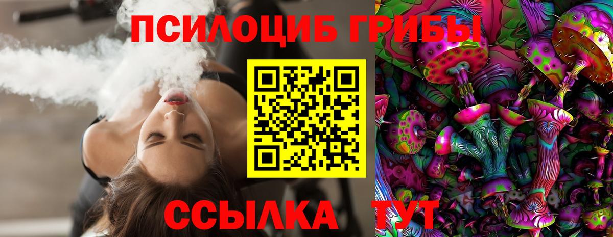 Псилоцибиновые грибы мицелий Новомосковск