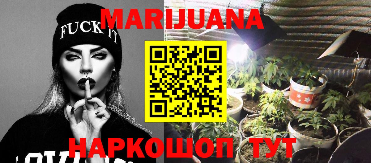 Бошки марихуана план  Марихуана планчик  Вход с VPN  МАРИХУАНА SATIVA & INDICA  Бошки марихуана планчик  Новомосковск 
